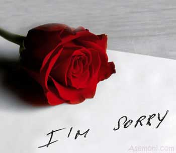 بهترین روش عذرخواهی کردن